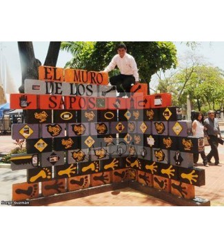 LALINCHI Y SU ESPECTACULAR OBRA EL MURO DE LOS SAPOS