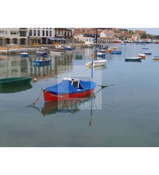 Marea Alta