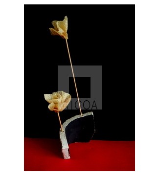 IKEBANA CERÁMICO FLORES DE CERA