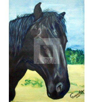 caballo-01