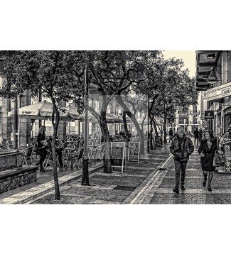 CALLE 28
