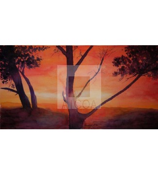 ARBOLES EN UN ATARDECER