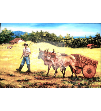 la casita de Guanacaste 