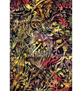 Forest of Goblins