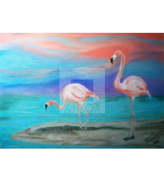 Flamencos
