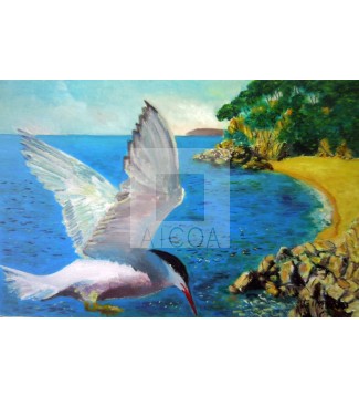 GAVIOTA