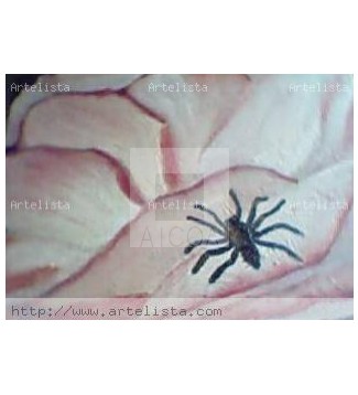 ARAÑA SOBRE UNA  ROSA