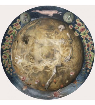 VENUS MUERTA