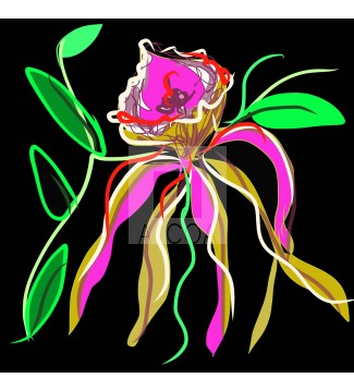 Orquídea #21