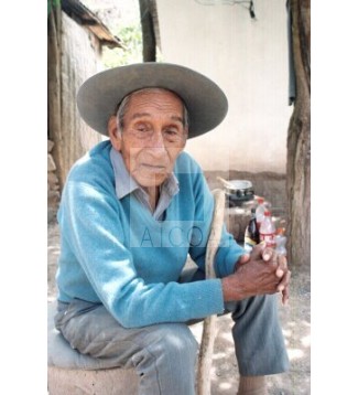 Pedro
