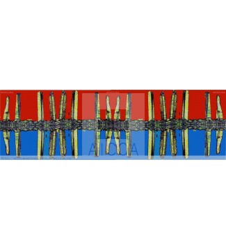 ADN MADRID REVERSIBLE