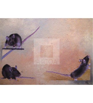 Ratas y ratones