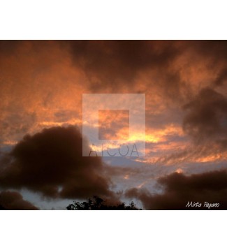 Cielo 10