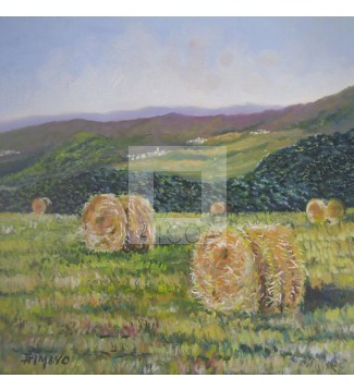 PAISAJE
