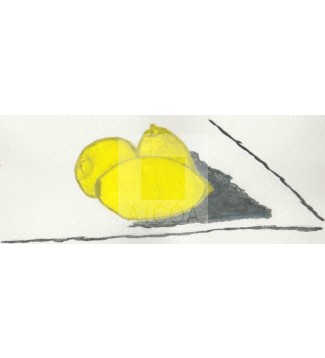 Limones