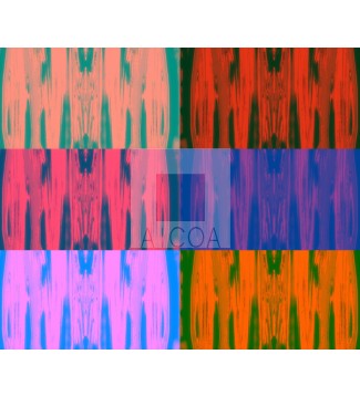 Wall of Pop Waves