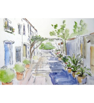 CARRER AIGUAFREDA