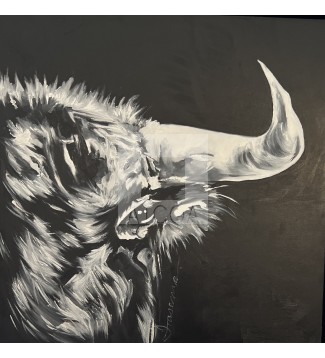Toro III