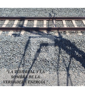 LA VIDA REAL Y LA SOMBRA DE LA VERDADERA ENERGÍA 