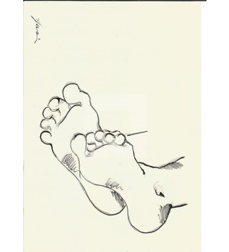 Anatomía Pies#2