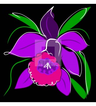 Orquídea #6