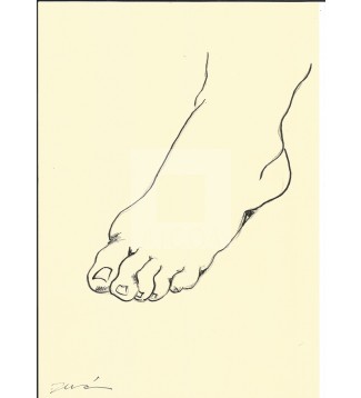 Anatomía Pies#11