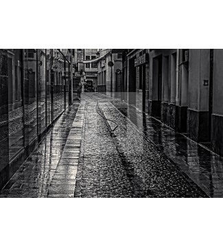 CALLE 19