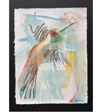 Colibri