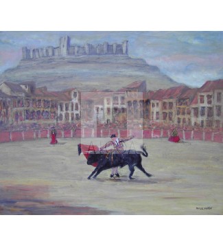 Plaza del Coso(Peñafiel)