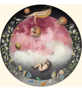 KEPLER 1649C, ESCALAS ESPACIO-TEMPORALES, MISTERIO