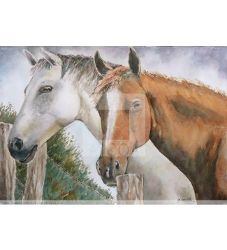 CABALLOS HISPANOS