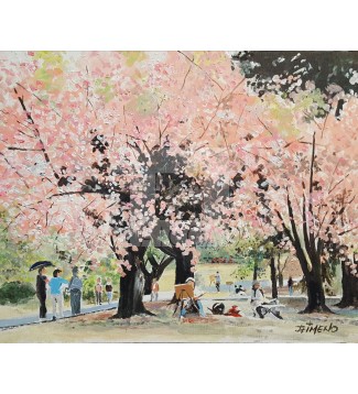 paisaje japones
