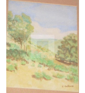 Castaños  de Villar de Otero.