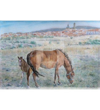 CABALLOS PASTANDO