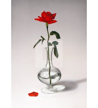 Jarrón de cristal con rosa roja (PY-JR01-R10)