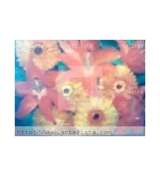 FLORES  DE  LIRIOS  Y   YERBERAS