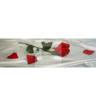 Rosa roja sobre sábana de seda (PY-1622-R3)