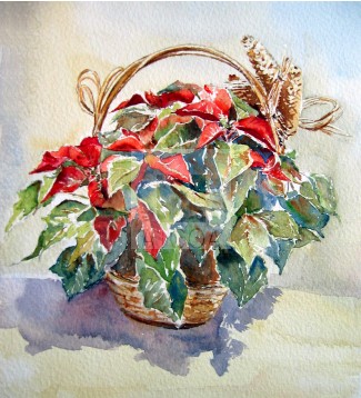 FLOR DE PASCUA