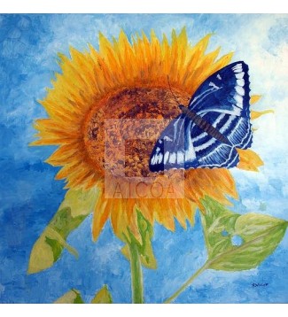 Butterfly I