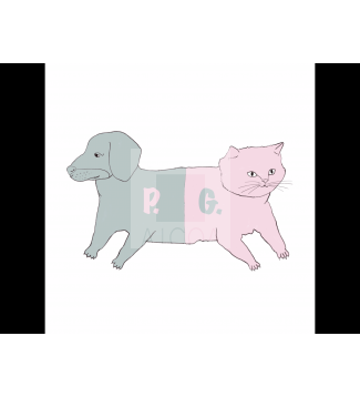 PerroGato