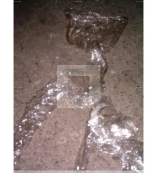 gata en cristal