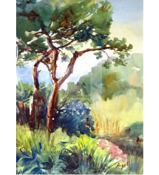 Bosque