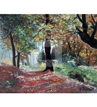 paisaje