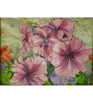 Petunias de mi jardin