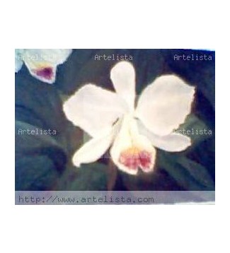 ORQUIDEA BLANCA