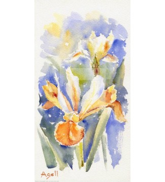 IRIS