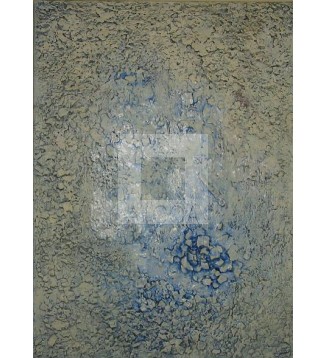 Serie ''ESCONCHOS''