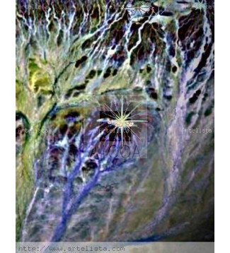 OVNIS   EN   EL    BOSQUE