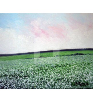 paisaje primaveral