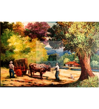 La casa de Artavia